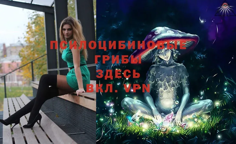 Псилоцибиновые грибы Cubensis  Кулебаки 